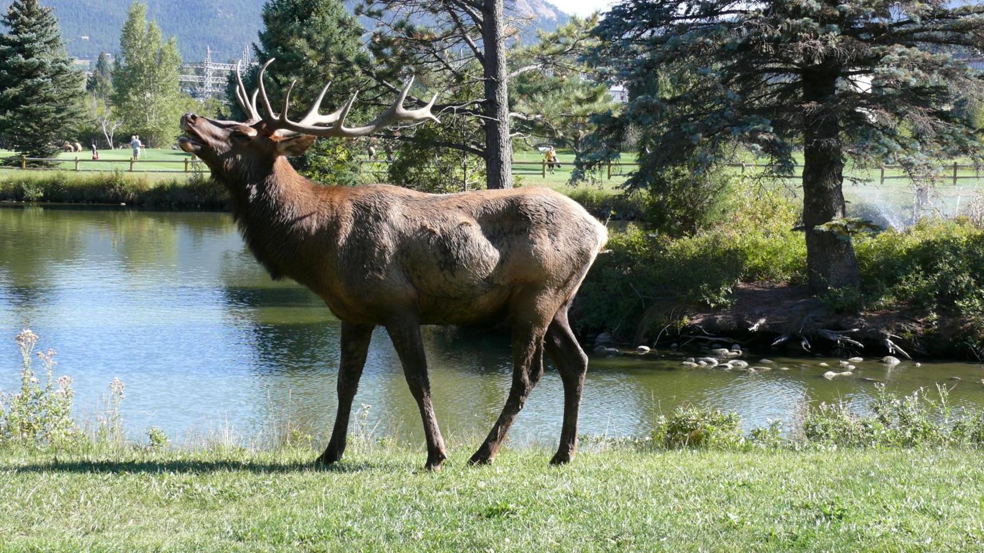 Discovery Lodge Естес Парк Екстериор снимка